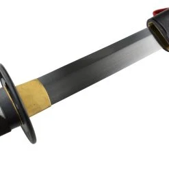 Hanwei Paul Chen S2 Katana 13 Hanwei Paul Chen S2 Katana -Kansept shop SH2487 6.jpg 1440x960 1